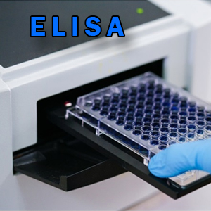 ELISA