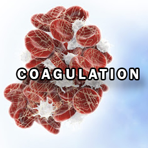 COAGULATION