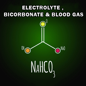 ELECTROLYTE , BICORBONATE & BLOOD GAS